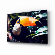 Toco Toucan Glass Wall Art.