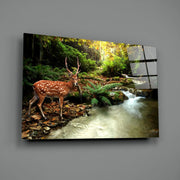 Forest Glass Wall Art.