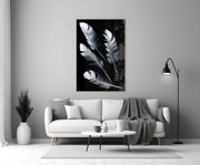 Feather Glass Wall Art.