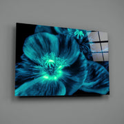 Malvales Flower Glass Wall Art.