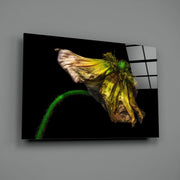 Flower Glass Wall Art.