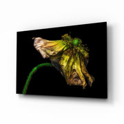 Flower Glass Wall Art.