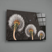 Dandelions Glass Wall Art.