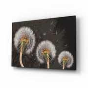 Dandelions Glass Wall Art.