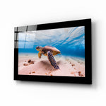 Schildpad – Glasschilderij