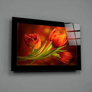 Drie Rode Tulpen op Donker Amber – Glasschilderij