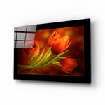 Drie Rode Tulpen op Donker Amber – Glasschilderij
