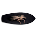 Dark Horned Creature Fantasy Glass Wall Art.