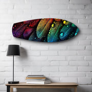 Rainbow Feather Macro Glass Wall Art.