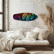 Rainbow Feather Macro Glass Wall Art.