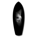White Cat Half Face Black Background Glass Wall Art.