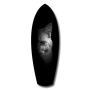 White Cat Half Face Black Background Glass Wall Art.