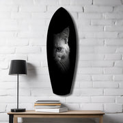 White Cat Half Face Black Background Glass Wall Art.