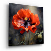 Vierkant Glasschilderij Poppy bloem Glasschilderij